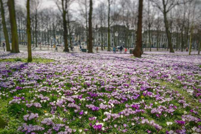 FullSizeRender 6.jpg