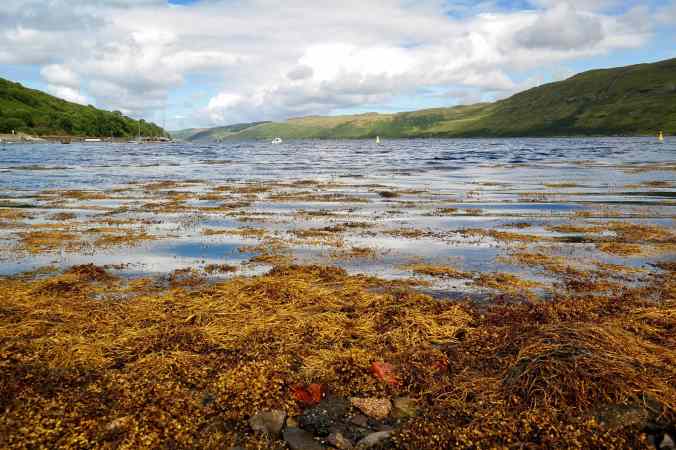 FullSizeRender 15-min.jpg