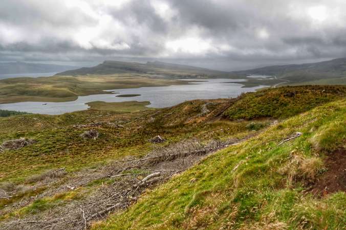 FullSizeRender 4.jpg