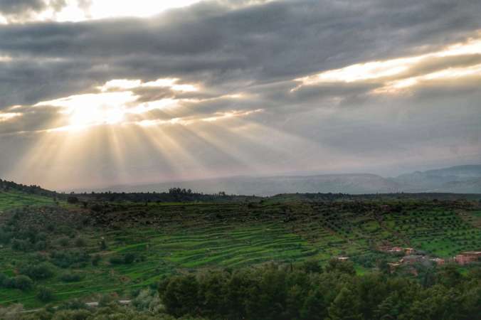 FullSizeRender 13.jpg