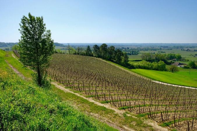 FullSizeRender 3.jpg