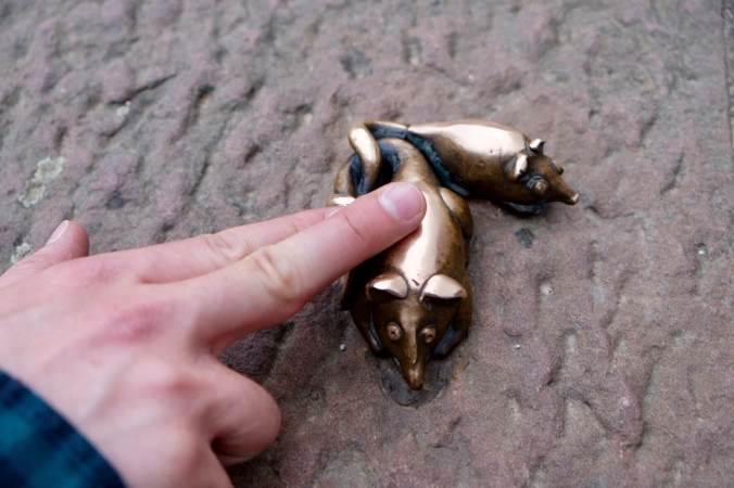 FullSizeRender 13.jpg