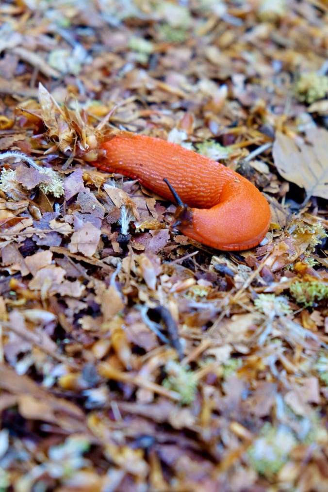 FullSizeRender 17.jpg