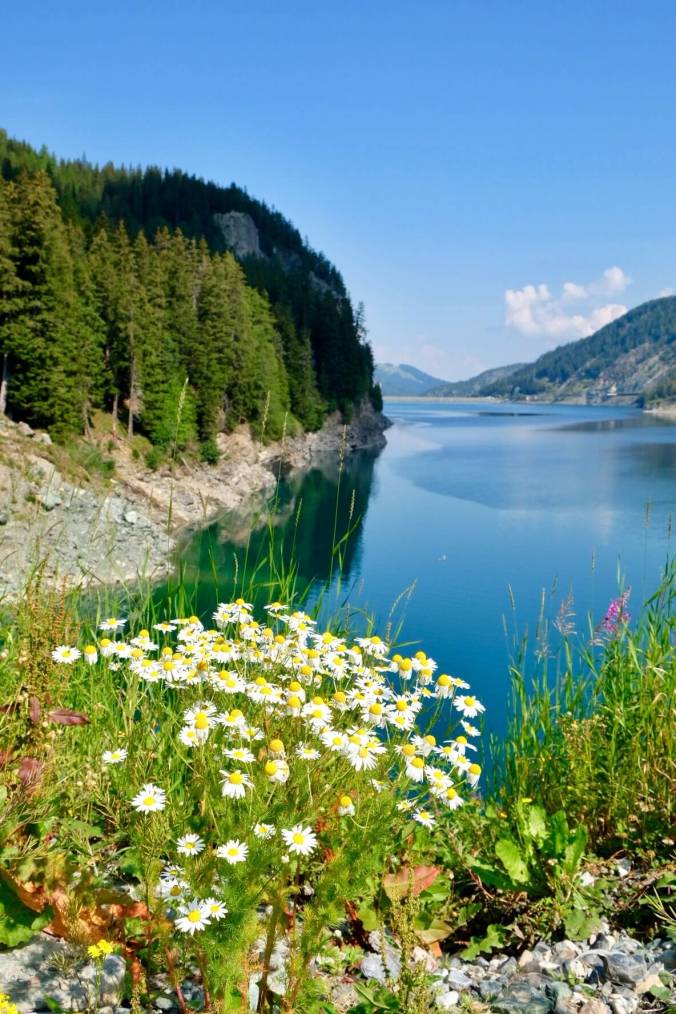 FullSizeRender 4.jpg