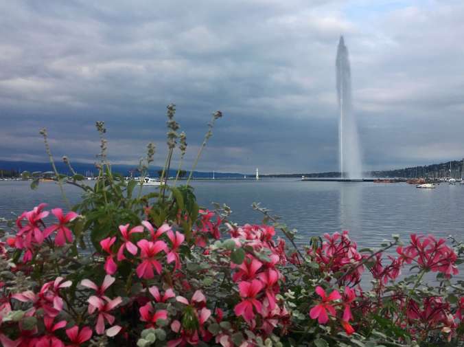 FullSizeRender 11.48.24 AM.jpeg