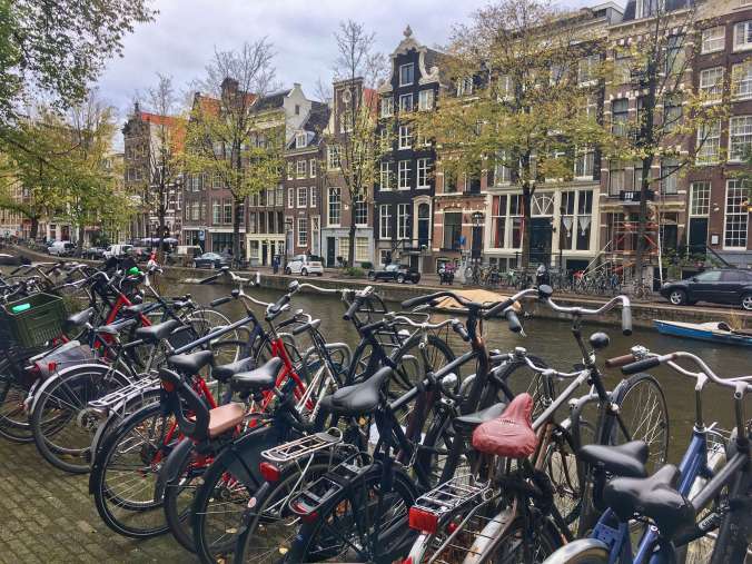 FullSizeRender 3.jpeg