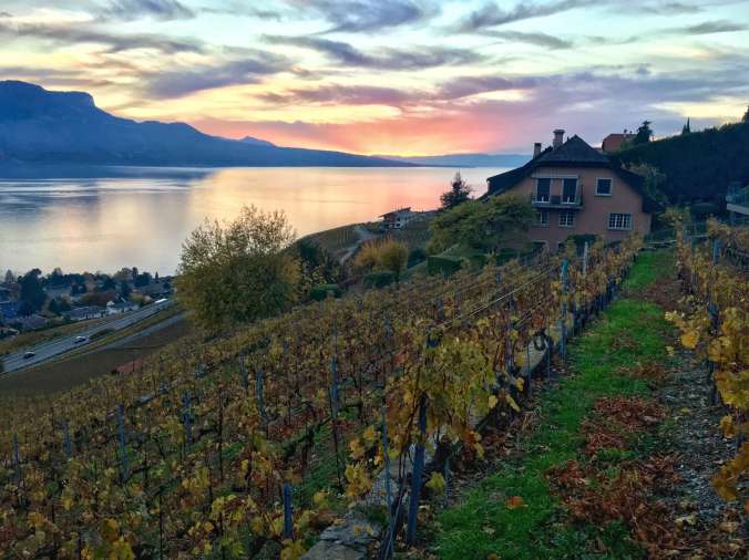 FullSizeRender 6 11.48.21 AM.jpeg